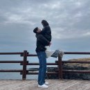 [제주도] 방방곳곳 이곳저곳 제주도 2박3일 일정 공유 / 서귀포 애월 제주시 위주 여행 / 봄 날의 제주