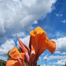 순천만국가정원 이미지