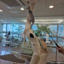 701아를고양이카페(cat in the art) 이미지