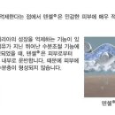 수호침구
