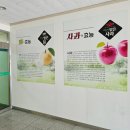 아산원예농협 거점 산지유통센터 | [천안 아산 티비] 아산 염치 아산원예농협 거점 신자유 유통센터 — 조립식 판넬 벽면 55인치 TV 6대...