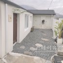 스테이유을 이미지