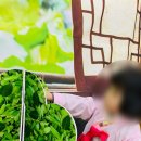 충주어린이집 이미지