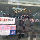 퍼피루미 이미지