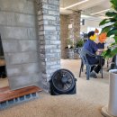 블루25 진성 이미지