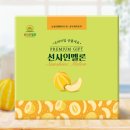 햇살디자인 이미지