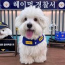 24시무인할인마트 이미지