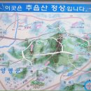 2009년 4월 4일...산수유축제...양평추읍산 이미지