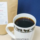 포레스트G1 이미지