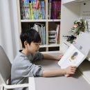 세계사 | 어린이를 위한 사피엔스 초등추천도서 세계사입문 아이 반응 후기