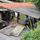 명도농장 이미지