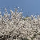 신흥버스차고지구내식당 | 4월 일상 ☀️