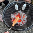 G7 | 안성맞춤캠핑장 글램핑 G7 후기｜다자녀 할인 꿀팁 + 아이랑 캠핑 추천