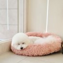 코코몽드 이미지