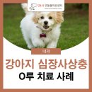 24시연동물의료센터 이미지