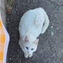 남해브릿지펜션 이미지