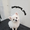 이가위미용실