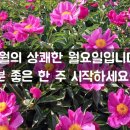 좋은세상발달센터