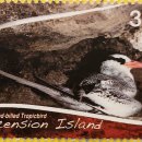 A - 15. Ascension Island / 어센션 섬 이미지