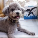 대왕고래 화장실 이미지