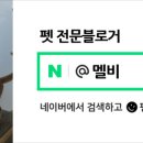 24시 글로리 동물병원 이미지