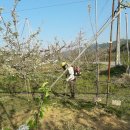 연우농장 이미지