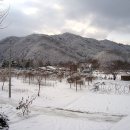 은빛세상 이미지