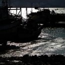 선창물양장 이미지