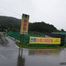 산정논메기매운탕식당 티스토리