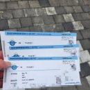 계양체육관 | 프로배구 인천대한항공점보스 두번째 홈경기 직관 후기 인천계양체육관 S6구역 응원석 시야