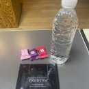오로라 스킨테라피