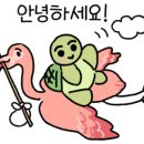 배나온민족 이미지