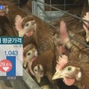 김기철농장 이미지