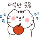 VIP아쿠아카페 네이버블로그