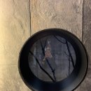 비에이브로스 | 청담 오마카세 비에이비오 BABO 오마카세코스 후기 (연말 다이닝 추천!)