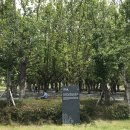 부산시민공원 이미지