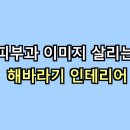 피부과 이미지 살리는 해바라기 인테리어
