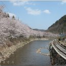 026_전남 보성군 문덕면 대원사 이미지