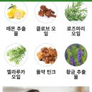 루카이비인후과의원 이미지