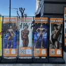 골든몽키짐 플래티넘 sky 이미지