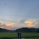동해수퍼 | 우리의 여름휴가는 울진🫧 (울진숙소추천, 바다근처 독채팬션🤍 / 여름의 어촌캉스)