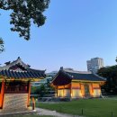 정릉69 | 선정릉역 선릉과 정릉 산책 데이트 관람시간 요금 주차