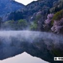 이화의료원어린이집 이미지