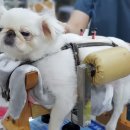 두암한방병원 이미지