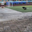 울산상업고등학교 이미지