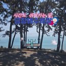 금장해수욕장 이미지