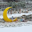 주식회사 강화모노레일 | 강화도 화개정원 모노레일 전망대 입장료 걸어서 다녀본 후기