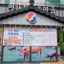 명가정정육