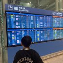 843 | 인천에서 칭다오행 대한항공 KE843 탑승 기내식 글루텐제한식 후기