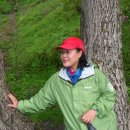 가루개로 이미지